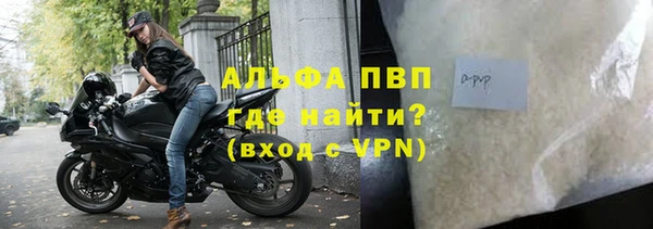 молекула духа Михайловск
