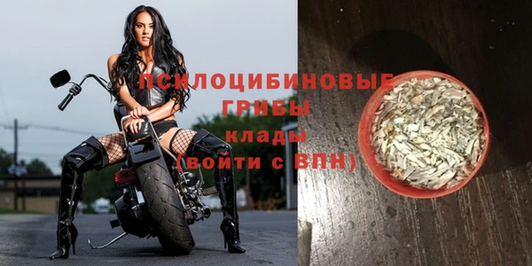 стаф Мегион