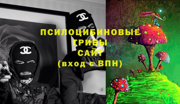 стаф Мегион