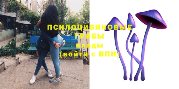 стаф Мегион
