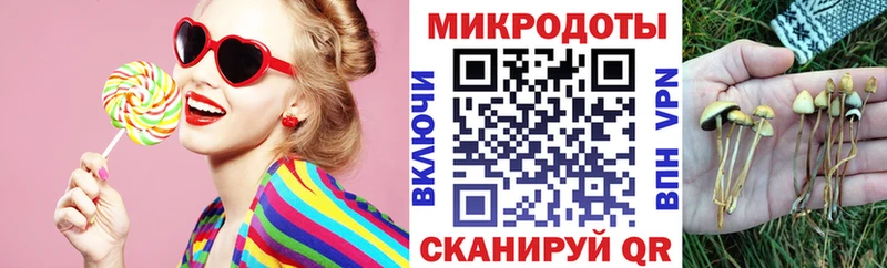 Псилоцибиновые грибы Psilocybine cubensis  Нелидово 